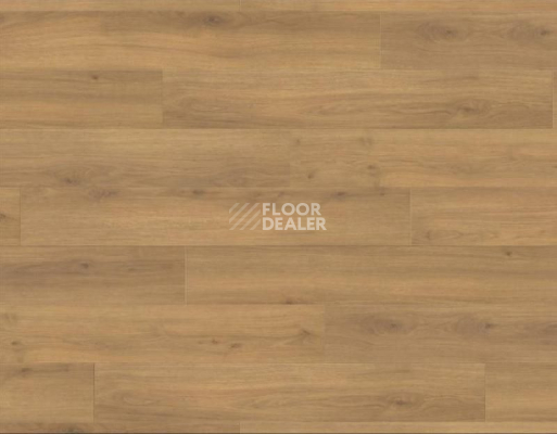 Ламинат Haro Tritty 100 4V ДУБ ЭМИЛИЯ МЕДОВЫЙ 538692 фото 1 | FLOORDEALER